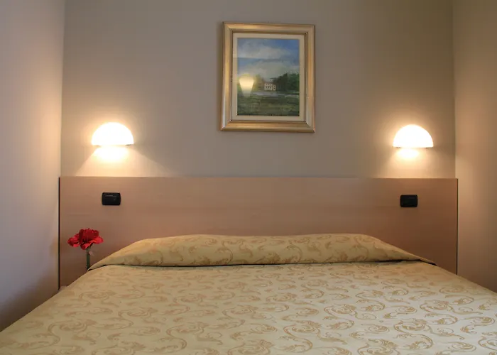 蜥蜴酒店 酒店 3*